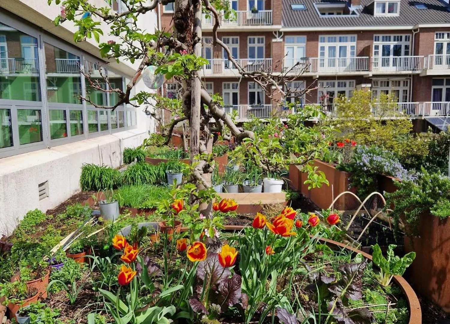 Court Garden Hotel The Hague Netherlands